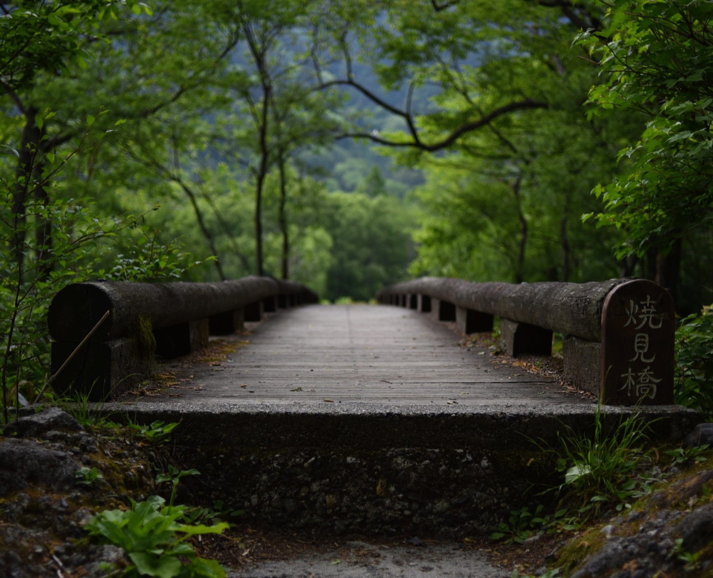 A bridge in Kamikochi, Japan.