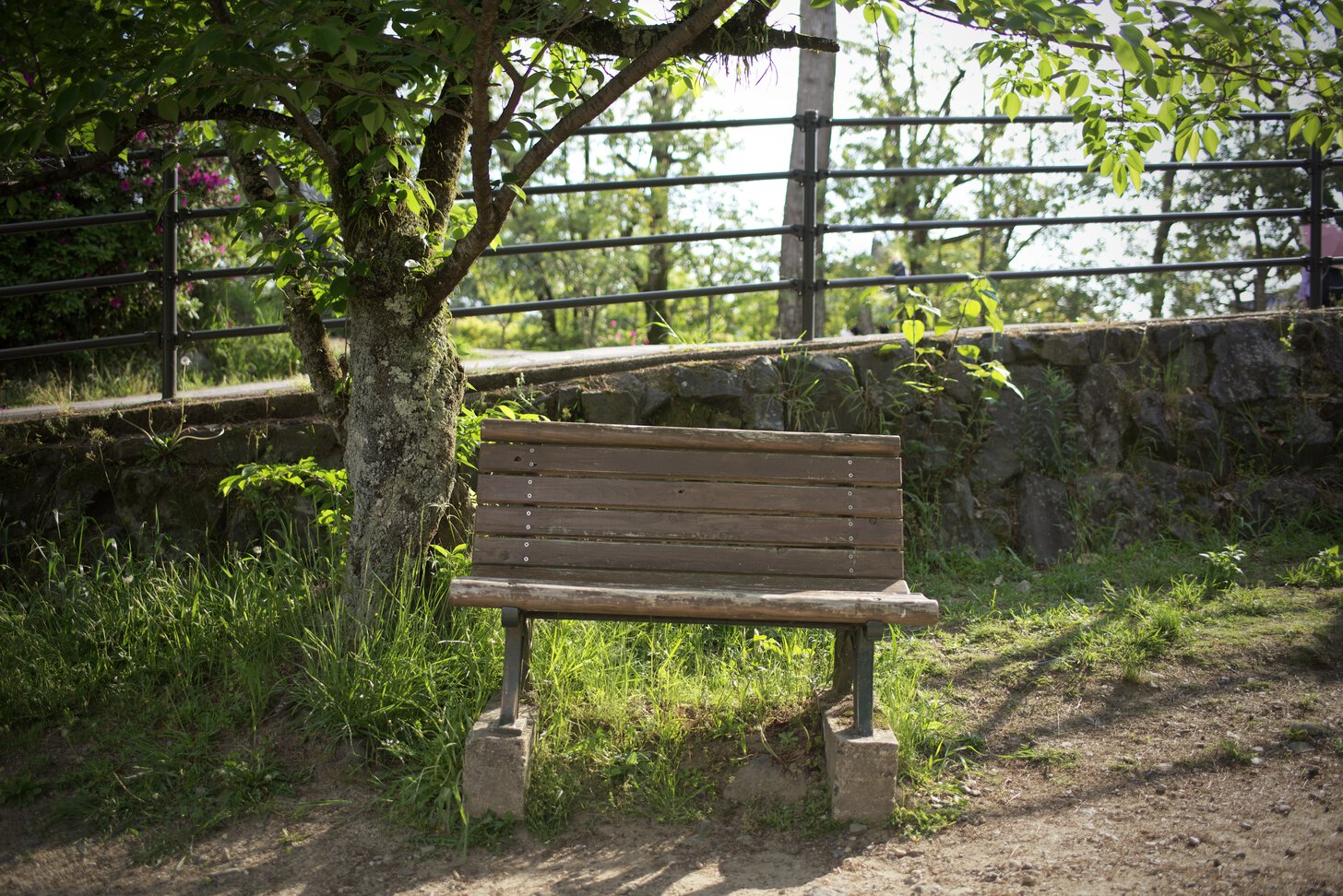 Kumiko's bench in Uji, Japan (approximately 34.889612, 135.808309).