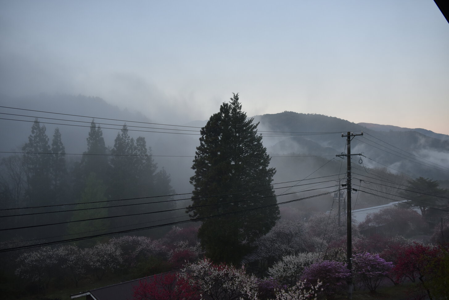 Dawn at Fuki no Mori in Nagano Prefecture, Japan.